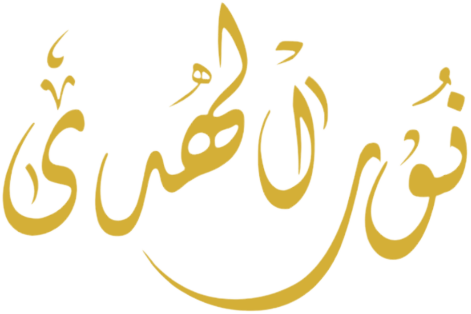 logo noor al houda